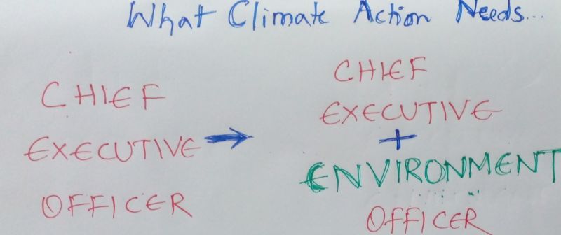 Can CEOs also become Chief Environment Officers?